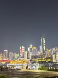 IMG 0300 225x300